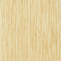 Angel Weft Extensions 20"/50cm 50g