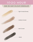 1000 Hour Dab-On Hair Colour Concealer